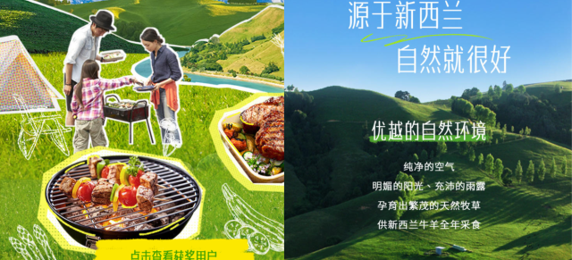 taste pure nature TPN kitchen banner