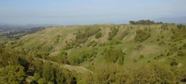 image of trees on farm