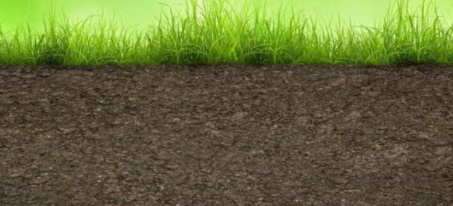 Grass and soil