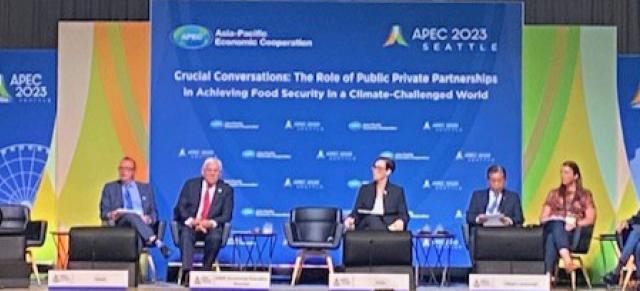 image of panel speakers at apec conference