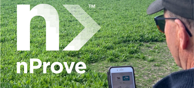 image of man using nprove app on phone