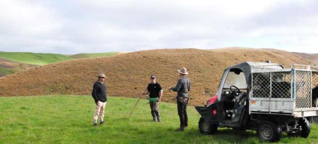 image of three farmers  on farm