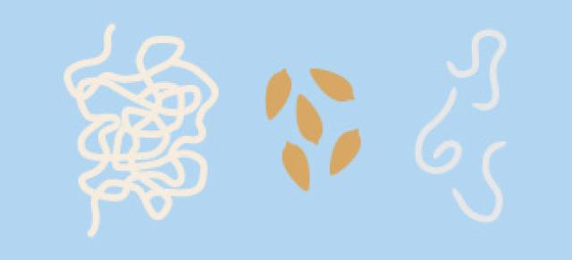 illustration depicting tapeworm, liver fluke and lungworm