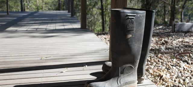 image of gumboots