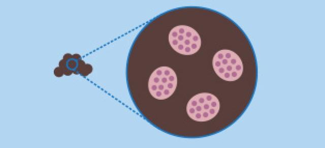 illustration of eggs counts 