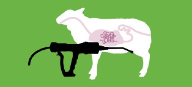 illustrated image representing drenching