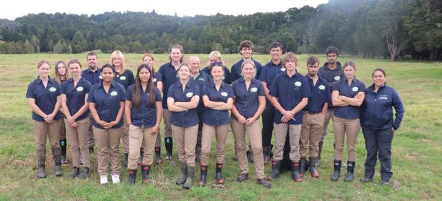 image of whangarei interns