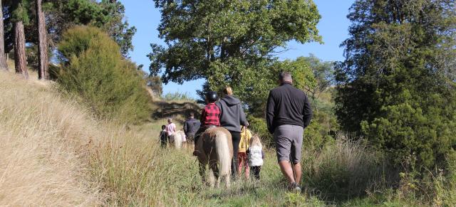 image of family and horse walking on farm
