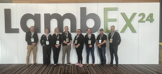 image of LambEx B+LNZ representation