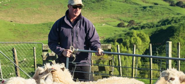 image of farmer opening gates for sheep