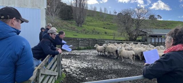 image of group learning looking at drenching in a yard