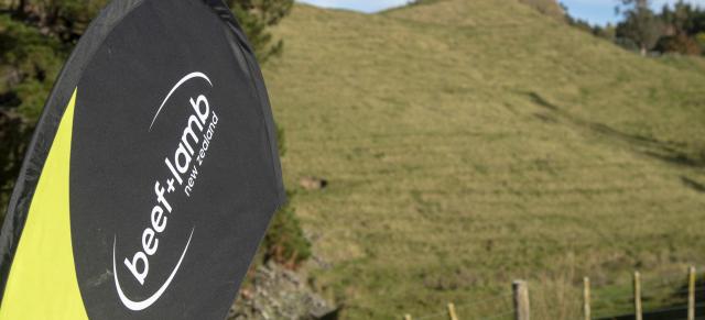 image of B+LNZ flag on farm
