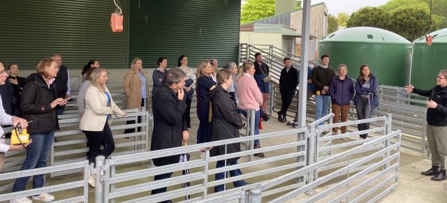 image of B+LNZ staff visiting research facility