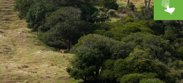 Biodiversity