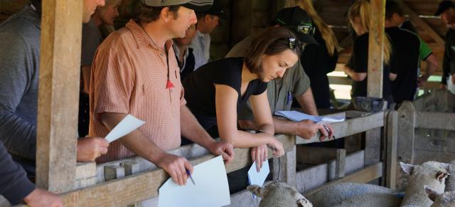 image of woman and man conducting BSC test 