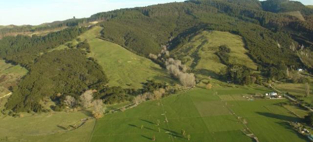 image of a NZ farm and forestry