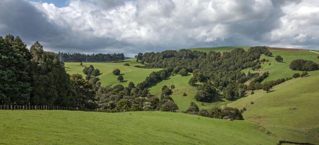 image of nz farm and forestry