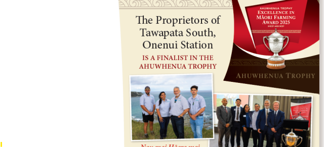 The Proprietors of Tawapata South, Onenui Station