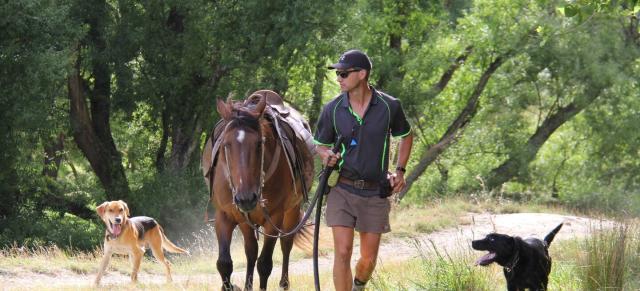 image of Andrew Stewart with horse and dogs