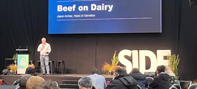 image of presenter at SIDE conference