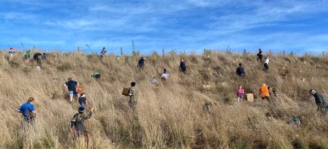 picture of catchment group cleaning up area