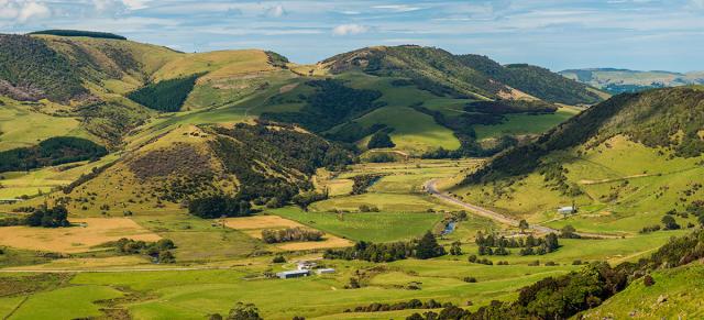 image of farms from bird's eye view in New Zealand