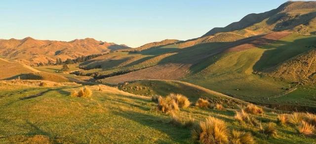 Marlborough farming for profit