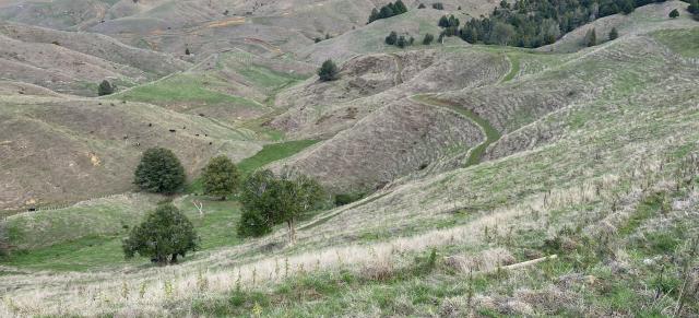 image of Te Pahu monitor farm