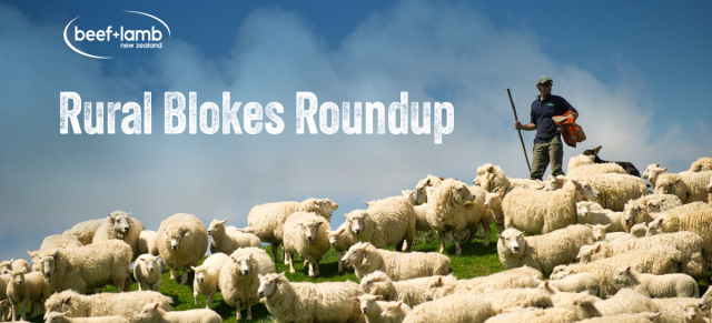 image of rural bokes roundup banner B+LNZ