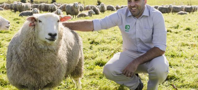 imaeg of Ryan Luckman with sheep