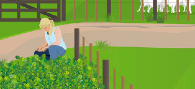 image of female farmer tending to forages