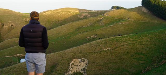 image of man overlooking hill country at dawn