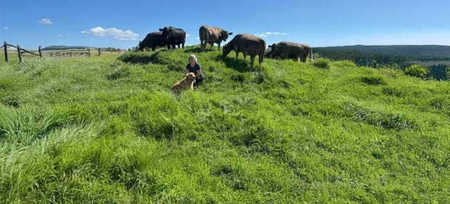 image of Alison Whiteford with dogs and cows in background