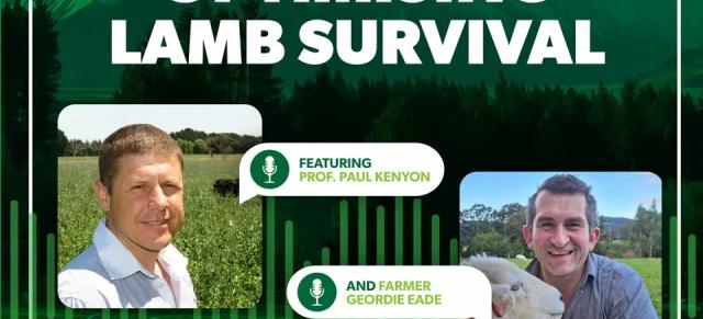 lamb survival episode two
