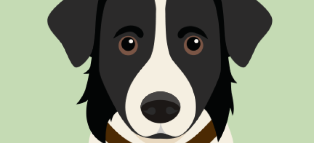 image of Bella avatar