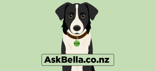 image of Bella the AI assistant dog and ask Bella web address