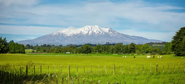 image of Ruapehu mountain