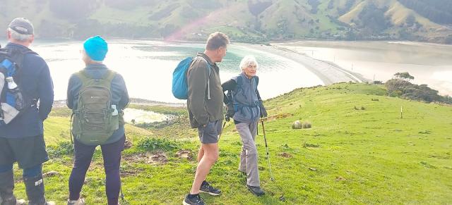 Cable bay walkers