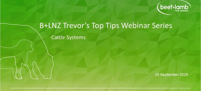 Cattle systems