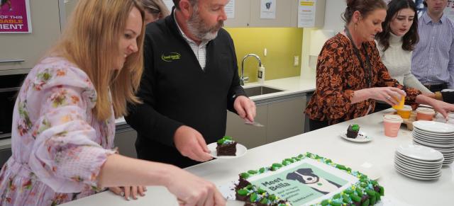image of staff cutting bella cake