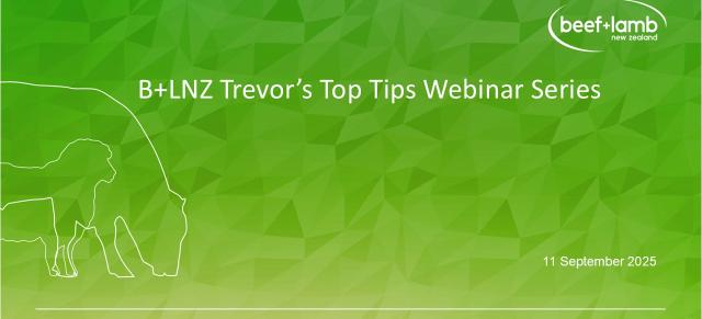 Webinar series Trevor top tips