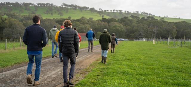 image of farmers walking on farm as part of field day