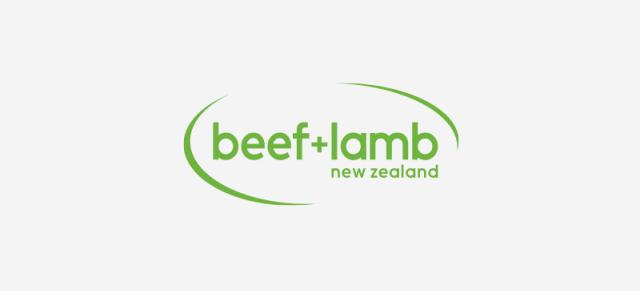image of B+LNZ logo with gray background 