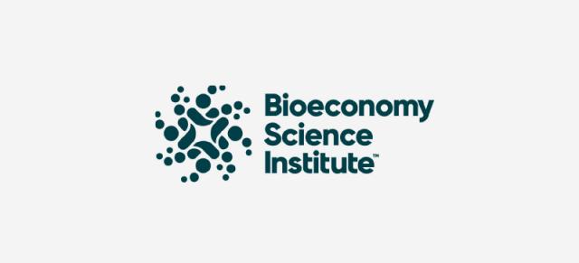 image of BSI logo 