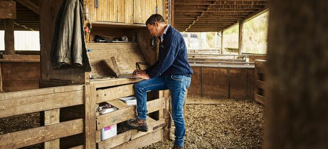 image of farmer using laptop