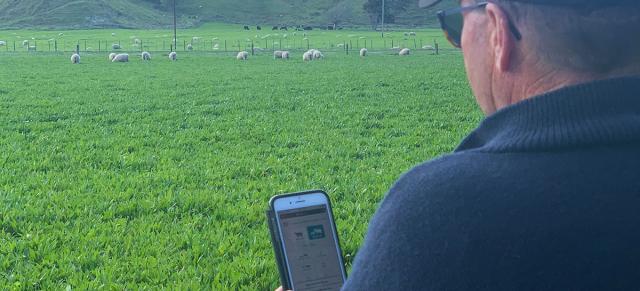 image of man using phone in field