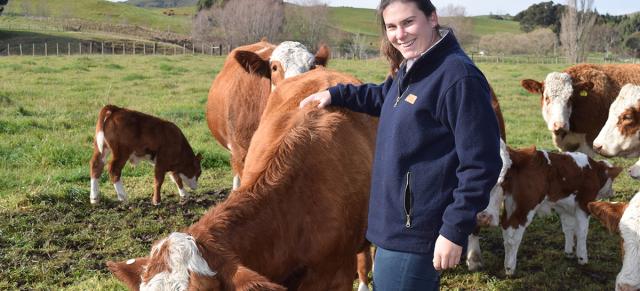image of Amy Hoogenboom patting cattle