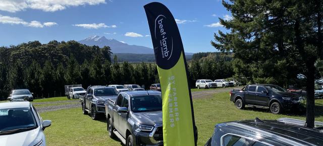 image of B+LNZ flag at field day