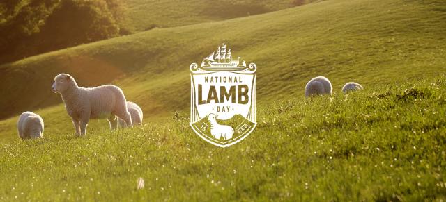 image of sheep and lambs on summer lit farm with National Lamb logo
