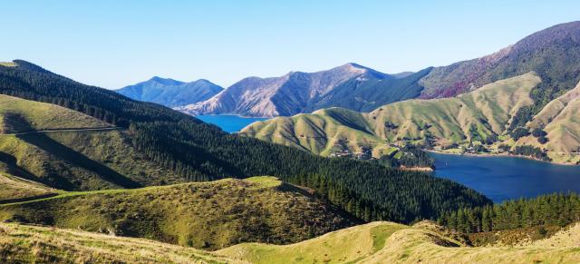 bird's eye view of farm, pine trees and bright blue sea
